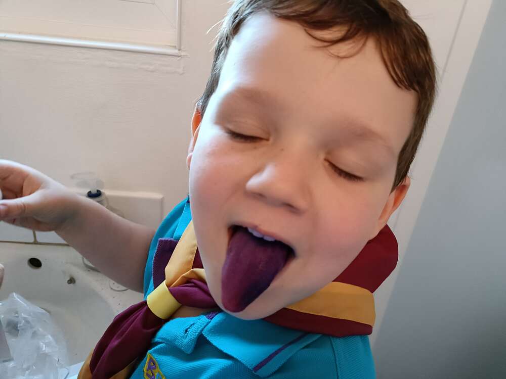 Beavers Disclose the Dirt!